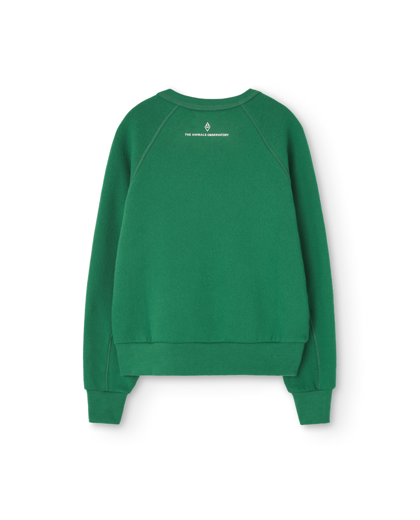 THE ANIMAL OBSERVATORY Kids Shark Green Sweatshirt 1THE ANIMAL OBSERVATORY Kids Shark Green Sweatshirt 3